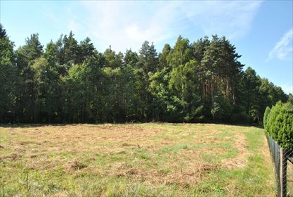 Działka budowlana 1116 m² przy lesie w Kętach Podlesie działka Kęty, Podlesie