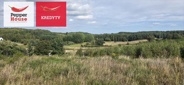Do sprzedania działka 1065 m² z widokiem na las w Chwaszczynie działka Chwaszczyno, Rewerenda