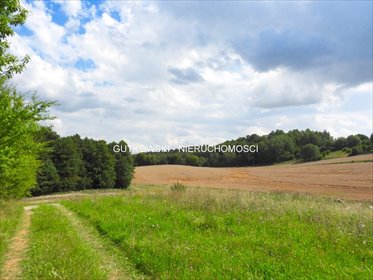 Działka letniskowa z widokiem na jezioro i las - polecam! działka Lekarty