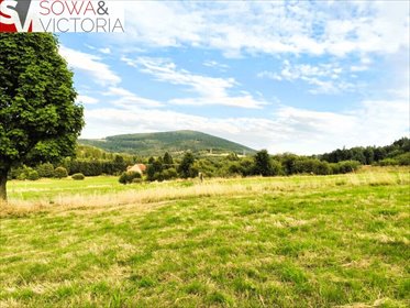 działka na sprzedaż 3000m2 działka Walim