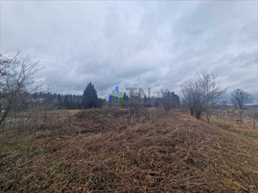 Działka rolna 16 400 m² w Ratowicach - polecam działka Ratowice