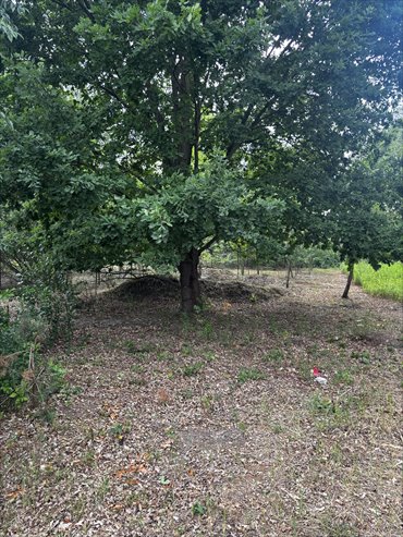 Działka 1065 m² pod zabudowę jednorodzinną, blisko budowy działka Borzęcin Duży