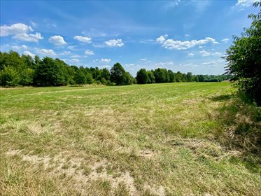 Działka inna na sprzedaż Łódź, Bałuty, Nowe Moskule, Strykowska 3 004m2 Foto 4
