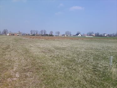 Działka budowlana 1500m2 z warunkami zabudowy, media, inwestycja działka Strzyżew