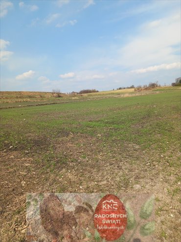 działka na sprzedaż 6600m2 działka Jakubowice Murowane