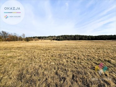 Działka budowlana na sprzedaż Wójtowo 1 504m2 Foto 2