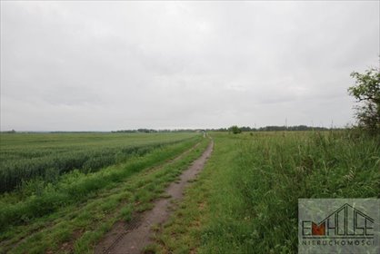 działka na sprzedaż 1254m2 działka Mazurowice