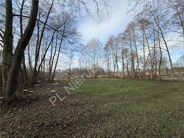 działka na sprzedaż 1500m2 działka Adamów-Wieś