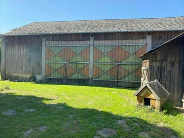 Siedlisko 16 200 m² - potencjał inwestycyjny i prywatność dom Spiczyn