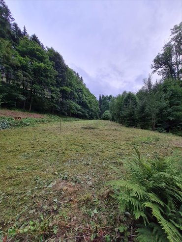 działka na sprzedaż 1019m2 działka Kowary, Podgórze, Kowary -Podgórze