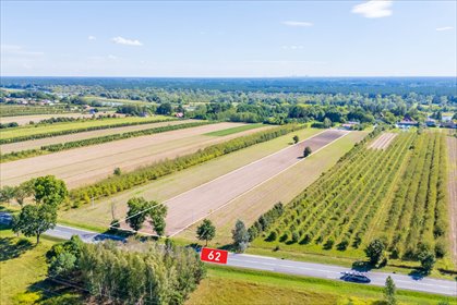 Sprzedam działkę inwestycyjną 9 900 m² w Starym Orzechowie działka Stare Orzechowo