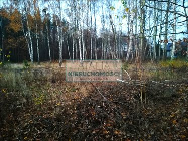 Działka 1541 m2 z prądem, światłowodem i MPZP działka Szczęsne