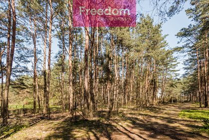 Dom na sprzedaż Siwianka 90m2 Foto 3