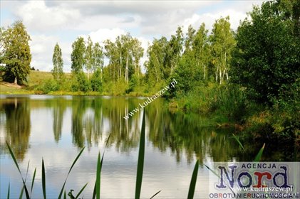 Urokliwa działka 3,61 ha z jeziorkiem, domem i projektem działka Suchodoły
