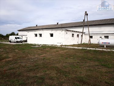 Magazyn na sprzedaż Recz 4 000m2 Foto 5