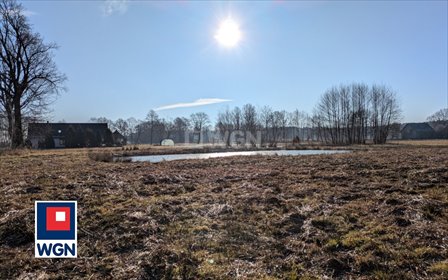 Sprzedam działkę 6200 m² z domem i stawem w Kotowskim działka Kotowskie, Kotowskie
