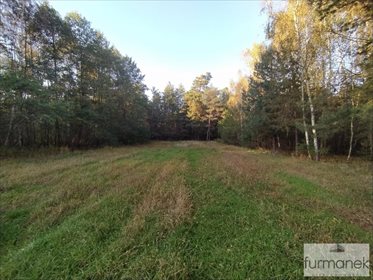 Działka inna na sprzedaż Lipiny Górne-Borowina 16 337m2 Foto 6
