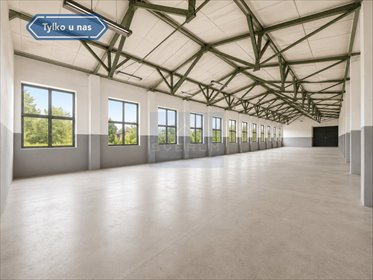 lokal użytkowy na sprzedaż 8200m2 lokal użytkowy Lipicze, Stawowa