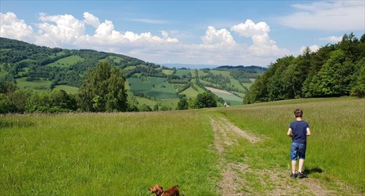 działka na sprzedaż 734600m2 działka Lądek-Zdrój