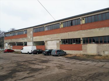 lokal użytkowy na wynajem 200m2 lokal użytkowy Kołobrzeg