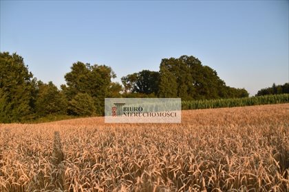 Działka budowlana na sprzedaż Łuków Śląski 3 750m2 Foto 1