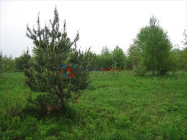 Uzbrojona działka 2644 m² w spokojnej okolicy działka Bąkówka