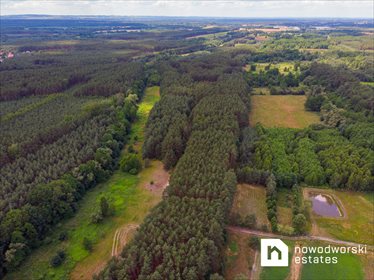 Działka budowlana na sprzedaż Mirków, Adama Mickiewicza 18 400m2 Foto 4