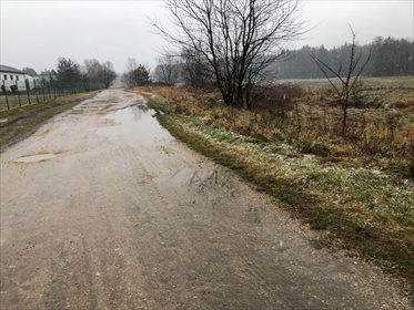 Działka rekreacyjna na sprzedaż Rusinowice 5 430m2 Foto 4