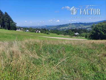 działka na sprzedaż 6000m2 działka Kąclowa