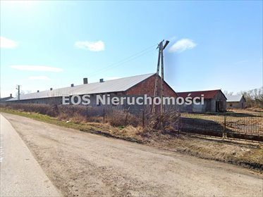Zapraszam do obejrzenia dużej nieruchomości 5510 m² w Nowej Suche lokal użytkowy Nowa Sucha