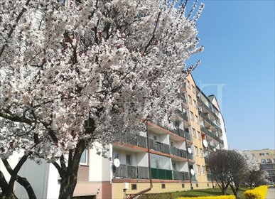 mieszkanie na sprzedaż 40m2 mieszkanie Ząbki, Powstańców