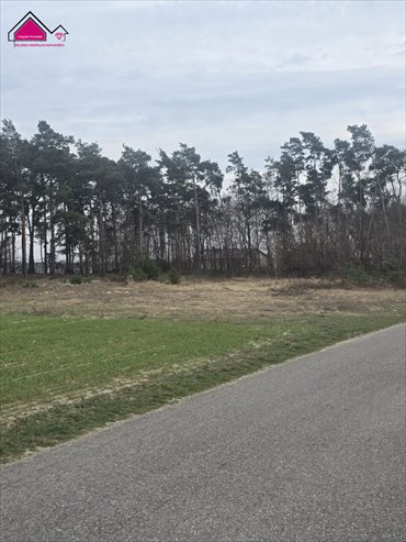 Działka z lasem i WZ pod dom i pasiekę - polecam! działka Lisiec Mały