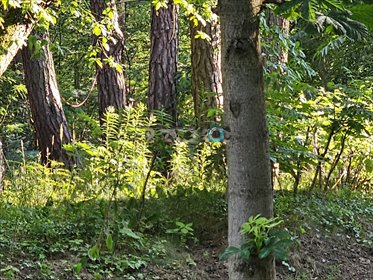 Na sprzedaż działka 750 m² w Otwocku z lasem i szerokim wjazdem działka Otwock, Otwock