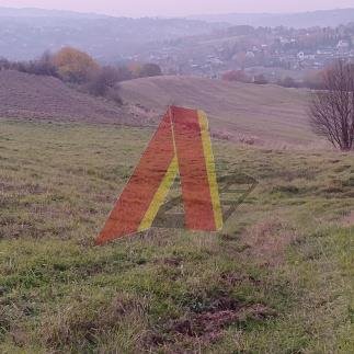 działka na sprzedaż 90000m2 działka Raciborsko, raciborsko