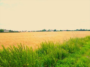 działka na sprzedaż 20079m2 działka Wieprzyce