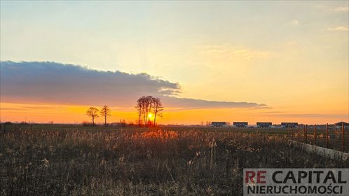 działka na sprzedaż 1025m2 działka Zaborówek