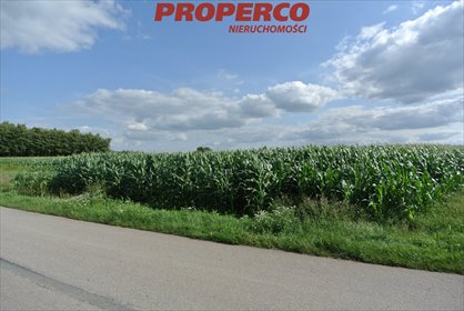 działka na sprzedaż 11000m2 działka Łatanice