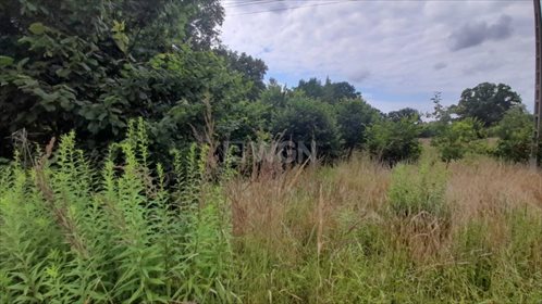 Działka budowlana na sprzedaż Trzmielów, Trzmielów 3 000m2 Foto 2