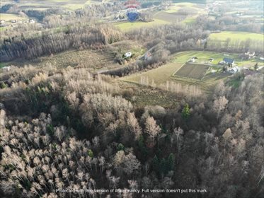 Działka budowlana na sprzedaż Łazy Brzyńskie 22 400m2 Foto 6