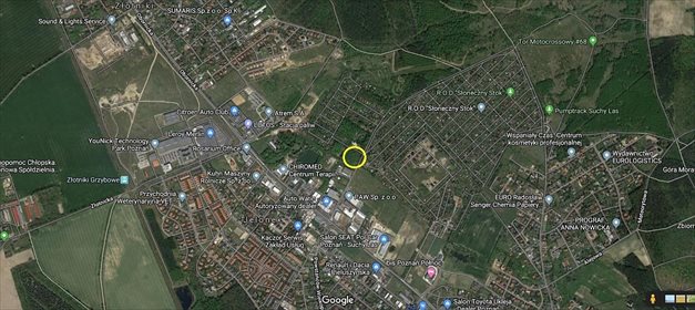 Działka budowlana na sprzedaż Jelonek 10 000m2 Foto 3