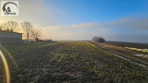 działka na sprzedaż 5800m2 działka Tropiszów