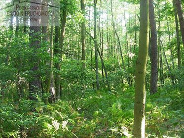 działka na sprzedaż 5975m2 działka Żyznów