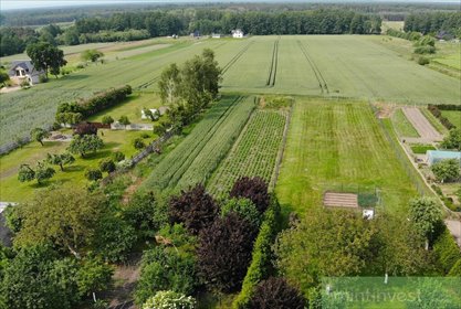 Działka pod zabudowę 1875 m2 z mediami i potencjałem inwestycyjnym działka Przemocze