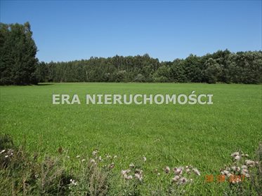 działka na sprzedaż 10885m2 działka Popiołówka