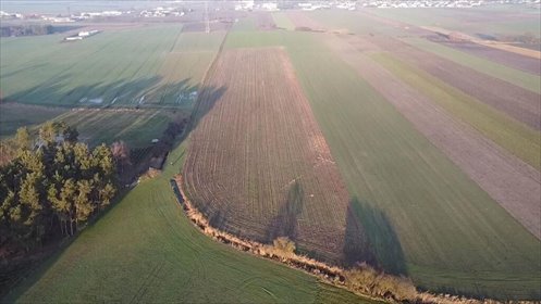 Działka 29 540 m² pod inwestycję - dostęp z dwóch stron działka Borek Wielkopolski
