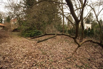 działka na sprzedaż 1200m2 działka Puszczykowo, Puszczykówko, Cyryla  Ratajskiego