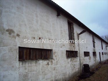 Magazyn na sprzedaż Sierpnica 1 400m2 Foto 3