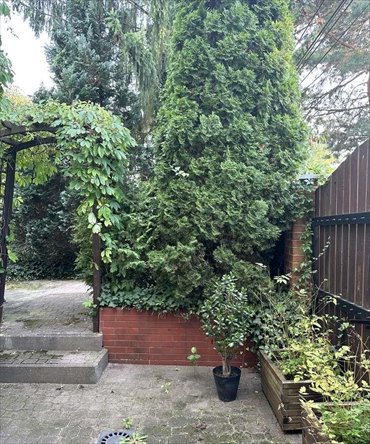 dom na sprzedaż 236m2 dom Izabelin, Hornówek