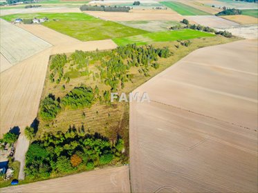 Sprzedam dwie działki rolne 50 829 m² z energią i wodą działka Nowiny