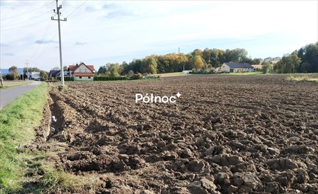 działka na sprzedaż 1200m2 działka Mazańcowice
